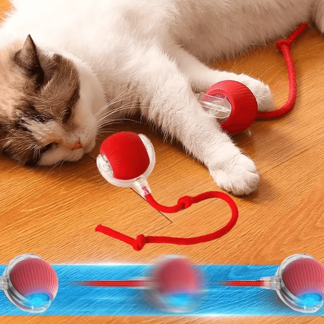 Pelota de caza electrónica para gatos