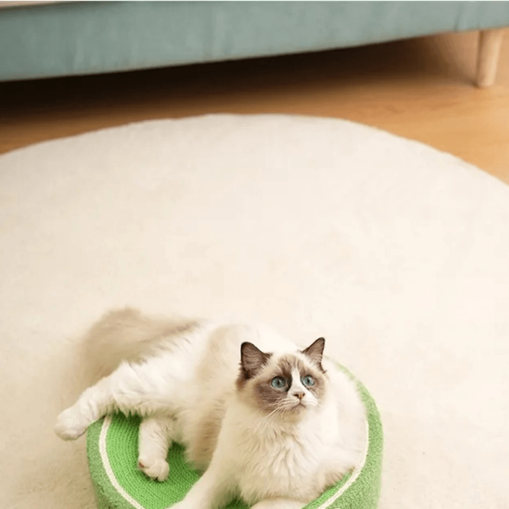 Cama rascadora para gatos