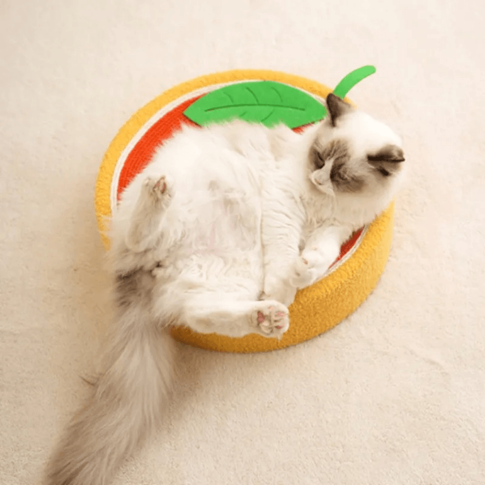 Cama rascadora para gatos
