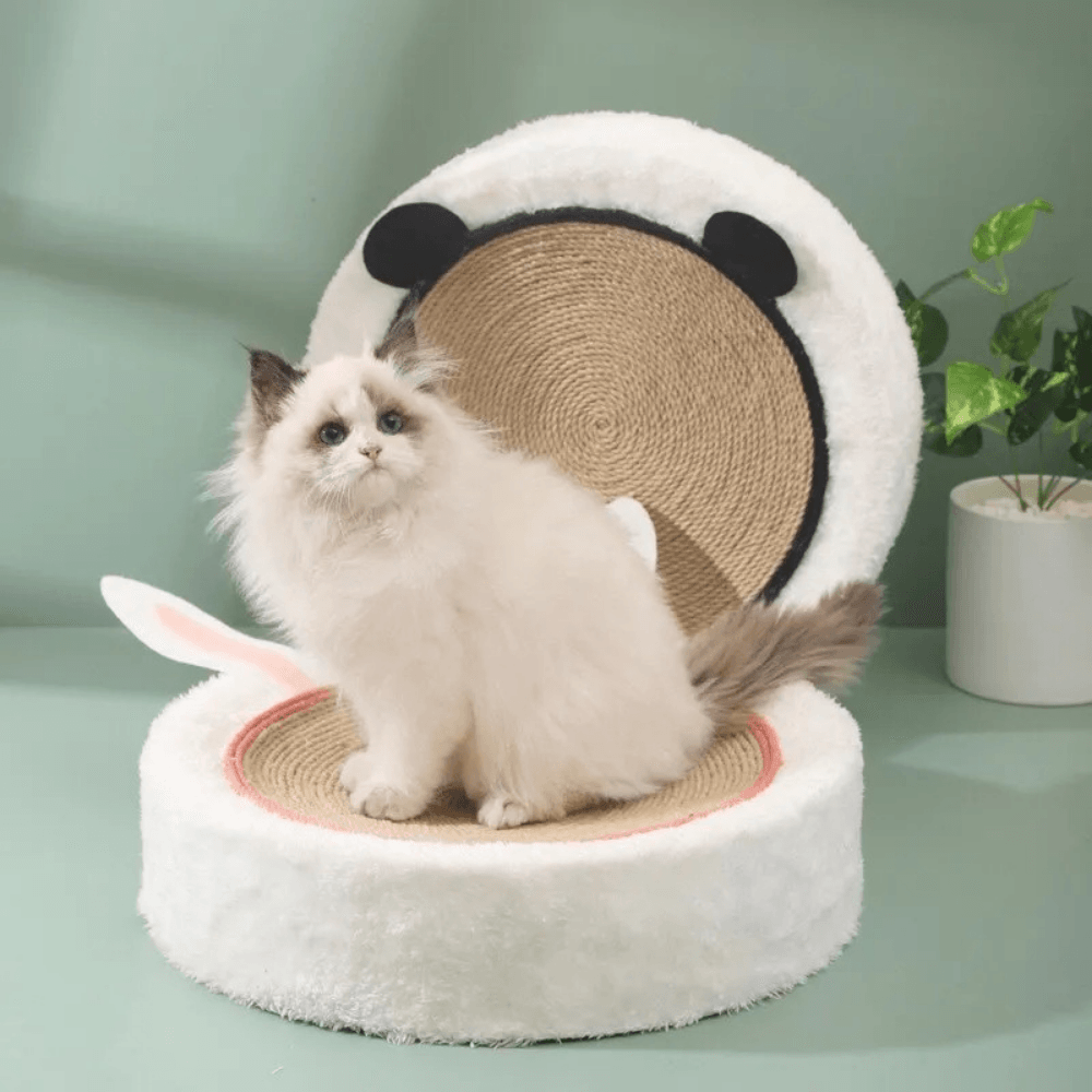 Cama rascadora para gatos