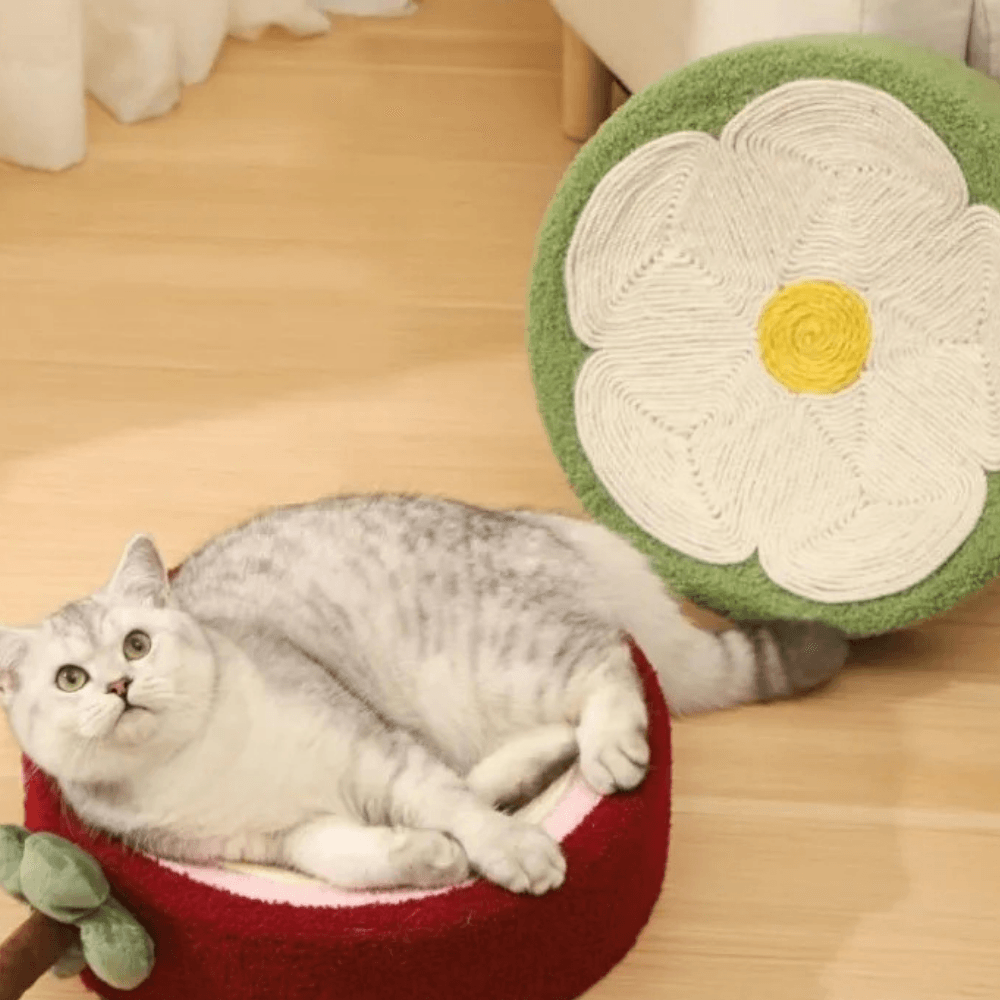 Cama rascadora para gatos