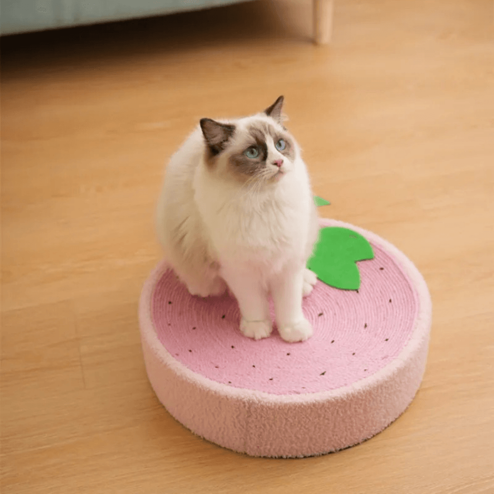 Cama rascadora para gatos