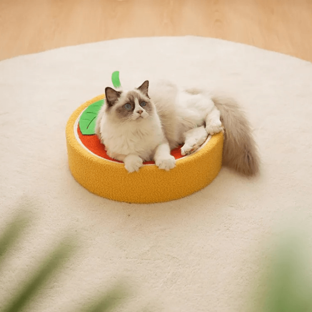 Cama rascadora para gatos