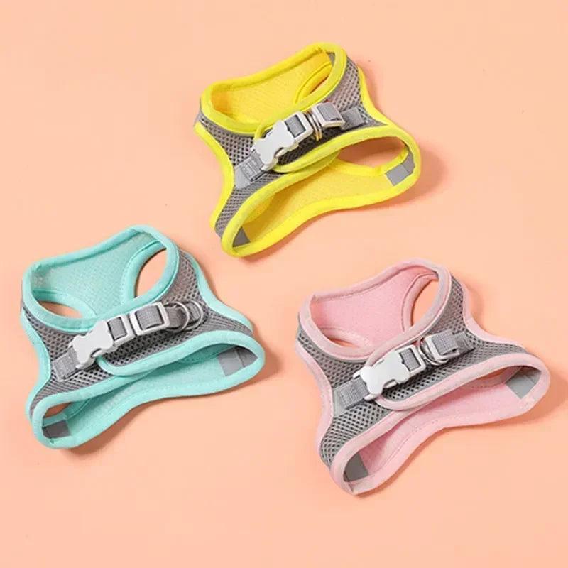 Arnés ajustable para mascotas con correa