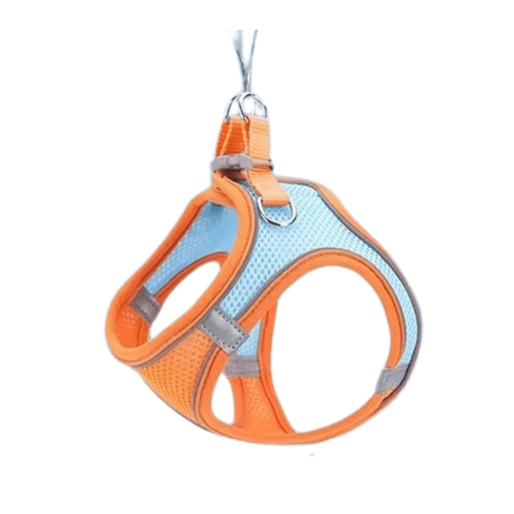Arnés ajustable para mascotas con correa