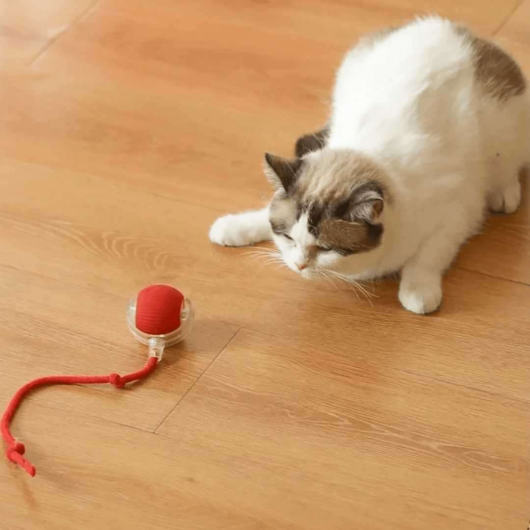 Pelota de caza electrónica para gatos