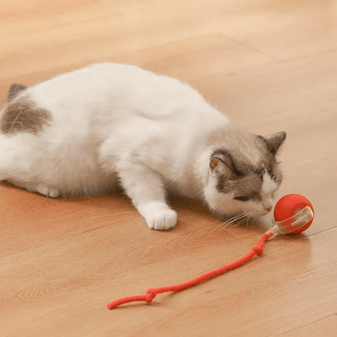 Pelota de caza electrónica para gatos
