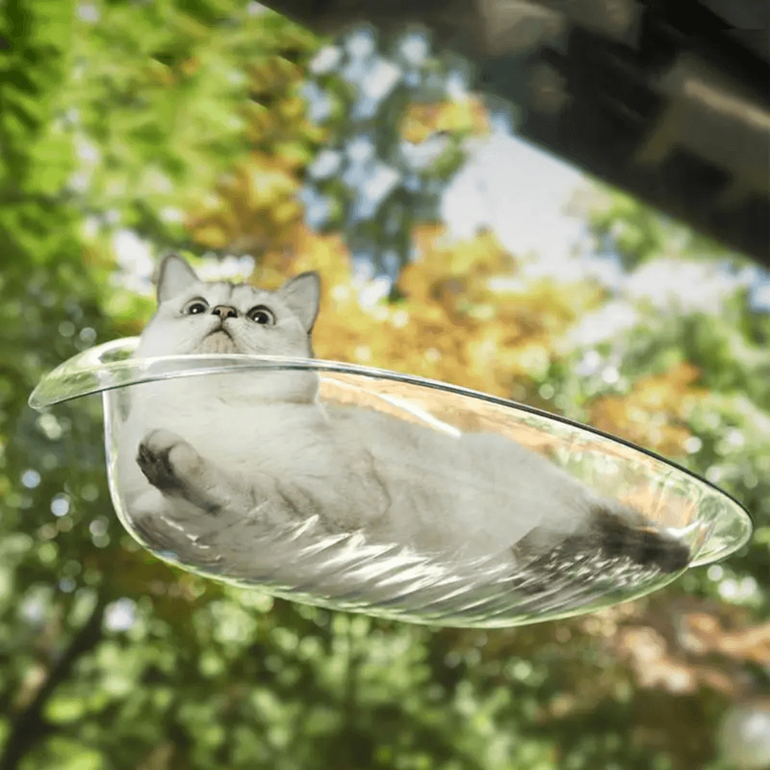 Cama colgante moderna para gatos