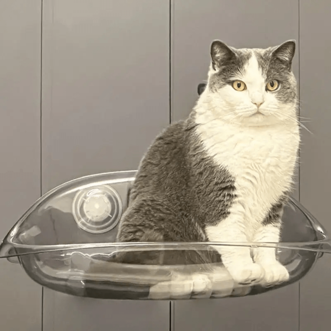 Cama colgante moderna para gatos