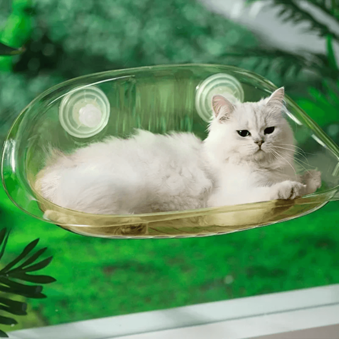 Cama colgante moderna para gatos