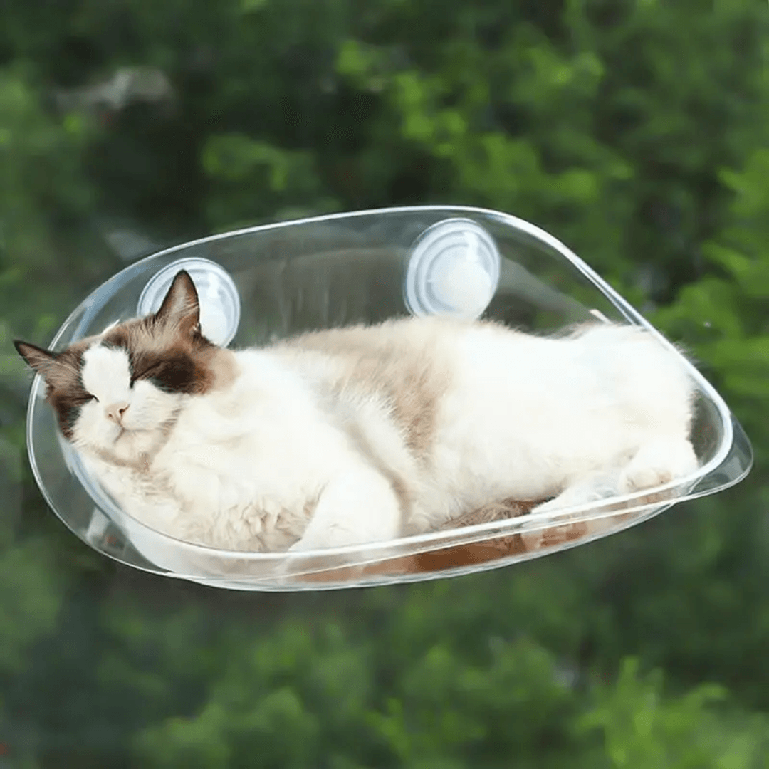Cama colgante moderna para gatos