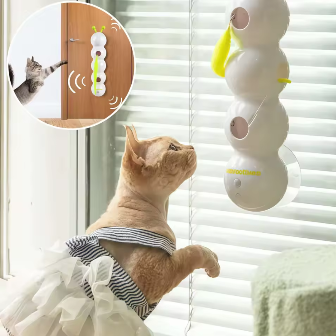 Juguete oruga eléctrico interactivo para gatos